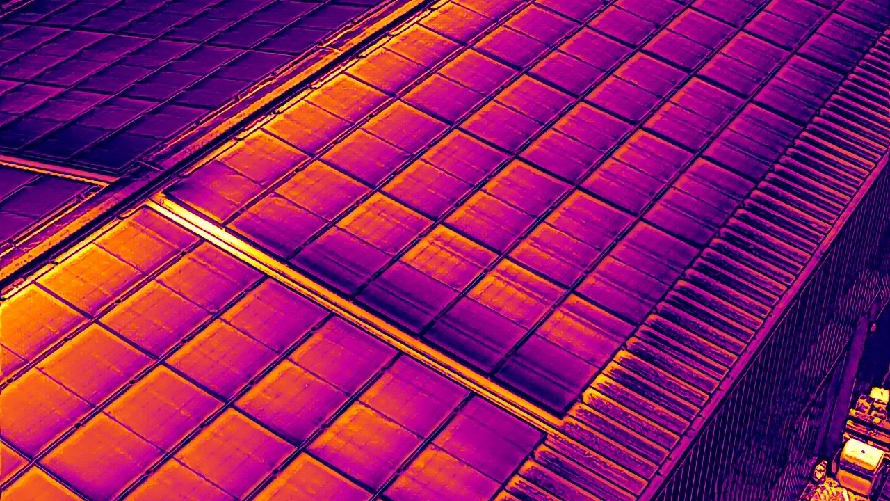 Termografía-2